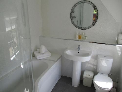 a bathroom with a toilet, sink and mirror at The White Horse Inn in Washford