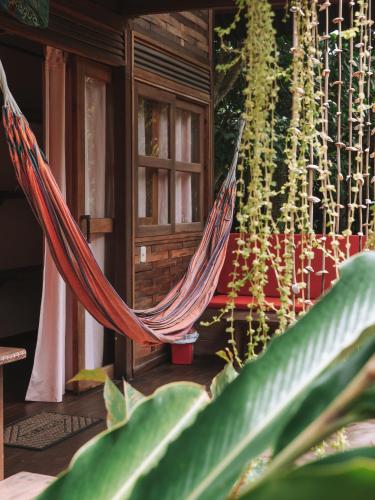 a hammock in a room with a plant at Nubá Boutique Hostel Palomino in Palomino