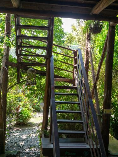 a stairway leading up to a house at Nubá Boutique Hostel Palomino in Palomino
