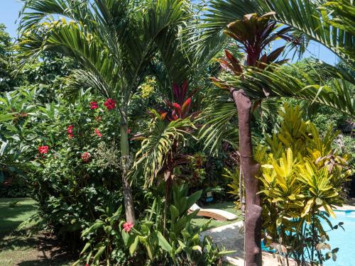 a group of palm trees and flowers next to a pool at Nubá Boutique Hostel Palomino in Palomino