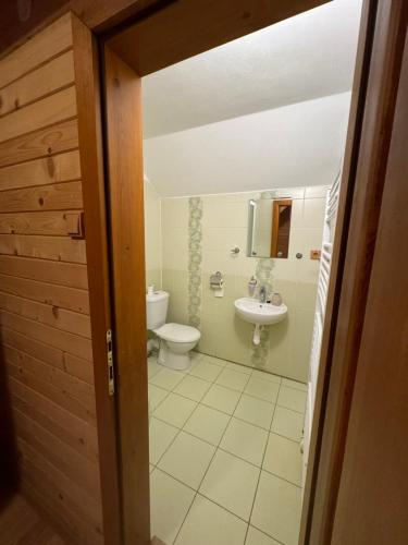 Spišské VlachyにあるSabinka pri jazereのトイレと洗面台付きのバスルーム
