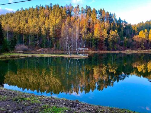 a lake in the middle of a forest at Sabinka pri jazere in Spišské Vlachy