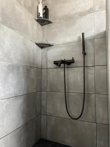 Koupelna v ubytování Vorino house