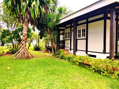 a house with a palm tree in front of it at MOOREA - Sundara Soul Villa in Hauru