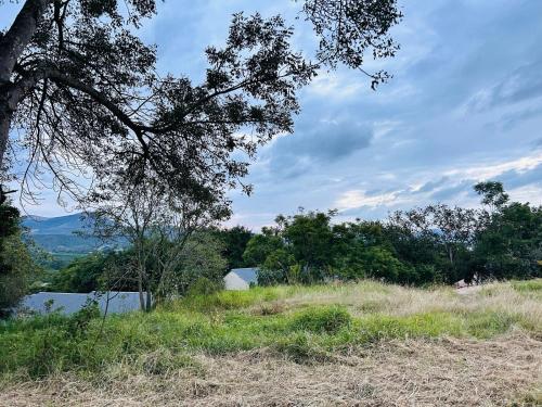 a grassy hill with a tree in a field at Tranquil Acres in Nelspruit