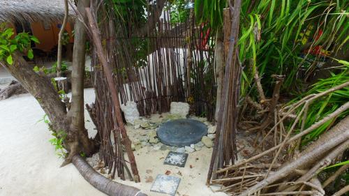 a small pond in the middle of a garden with trees at Rasdhoo Island Inn Beachfront in Rasdu