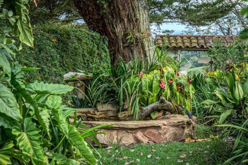 Taman di luar Country Western State