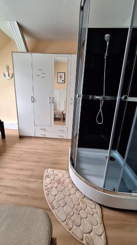 a living room with a glass shower in a room at Agroturystyka nad stawem Mazuchówka in Wydminy