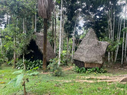 a small hut with a grass roof in a forest at Amazon jungle cabin - satorinatural in Puerto Nariño