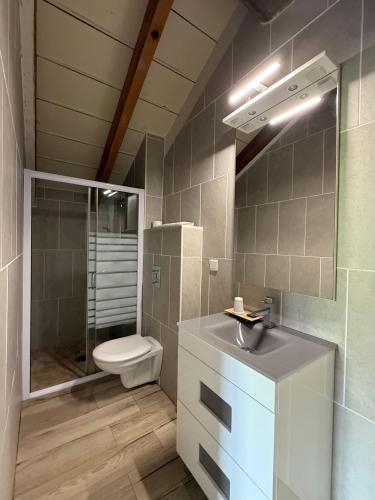 une salle de bain avec toilettes, douche et lavabo dans l'établissement Ferme auberge du col de la vaccia, à Olivese