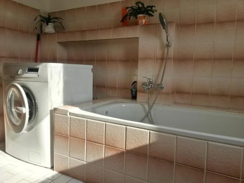 bagno con lavatrice e vasca di Ubytování Chadimovi a Šluknov