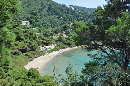 Φυσικό τοπίο κοντά σε αυτό το διαμέρισμα