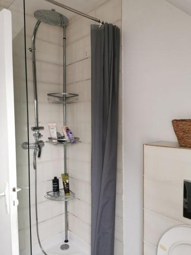 La salle de bains est pourvue d'une douche avec rideau de douche. dans l'établissement Villa entière proche Aéroport CDG Disney Astérix, à Tremblay-en-France