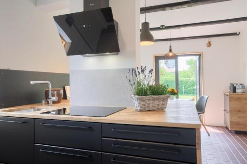 una cocina con fregadero y encimera en Landhaus Auszeit, en Rüting