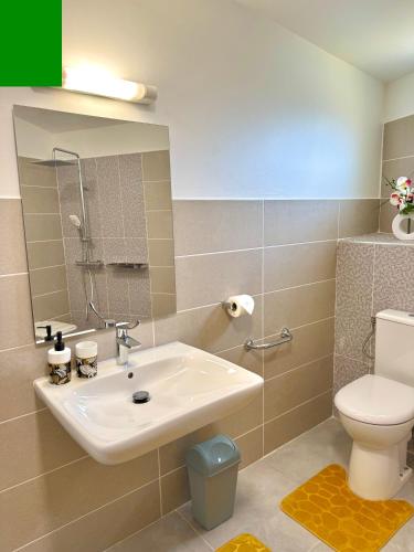 a bathroom with a sink and a toilet at Cocon du Souffleur in Port-Louis