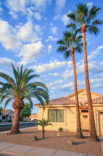 three palm trees in front of a house at North Phoenix At Your Fingertips in Phoenix