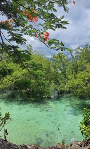 a pool of emerald green water in a forest at Villa Kendra in Moalboal