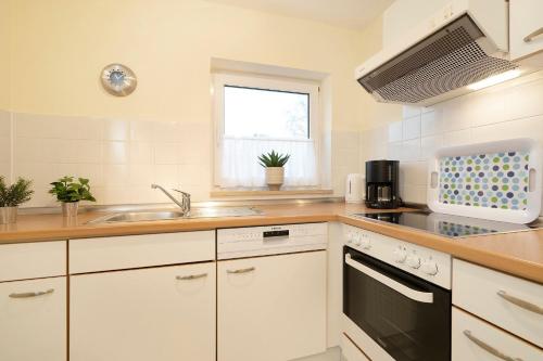 Η κουζίνα ή μικρή κουζίνα στο Lindenbuschen 2 Wohnung 5