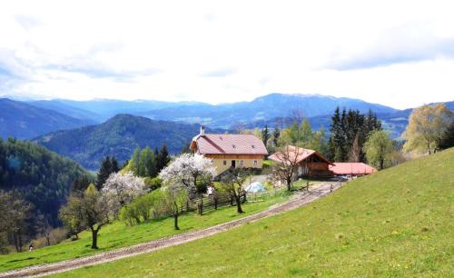 a house on top of a green hill with mountains at Wohlfühloase Koglerhof in Friesach