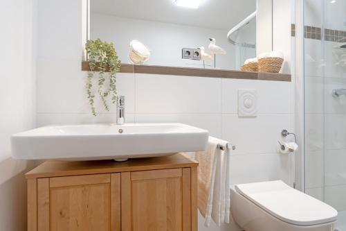 a bathroom with a sink and a toilet at Am Hafen 2d Inselsonne 2 in Orth