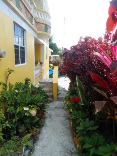 a garden path in front of a building at KG Apartments in Roseau