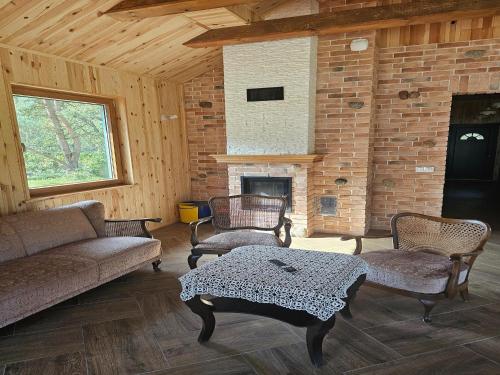 Imagen de la galería de Holiday homes with a private beach on the lake, en Grąbczyn