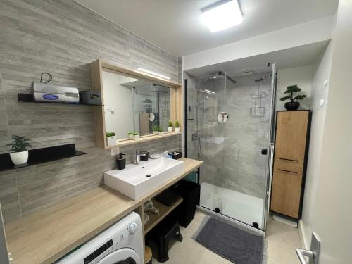 une salle de bain avec un lavabo et une douche dans l'établissement T2 Lumineux Face Mer avec Terrasse et Garage - Quartier des Présidents, Proche Plage et Commerces - FR-1-92-900, à Les Sables-dʼOlonne