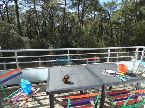 Notre-Dame-de-Monts : Appartement 4 pers, terrasse vue forêt - FR-1-540-322