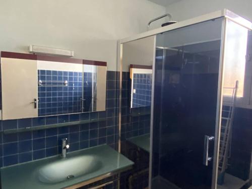une salle de bain avec un lavabo et une douche en verre dans l'établissement Appartement lumineux à Canet-Plage, 2 chambres, proche de la plage - FR-1-750-84, à Canet
