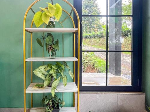 a shelf with plants on it next to a window at Urbanview Hotels Asmaraloka Umbrella in Kejajar
