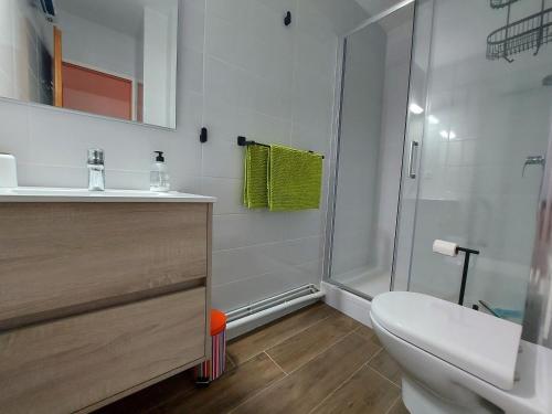 une salle de bain avec toilettes, lavabo et douche dans l'établissement Appartement 2 pièces avec loggia à 150m de la plage, animaux acceptés, garage compris - FR-1-776-111, à Argelès-sur-Mer