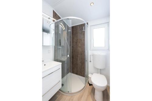 a white bathroom with a shower and a toilet at Ferienhäuser Lübecker Bucht Ferienhaus Beachcomber in Stubbenberg