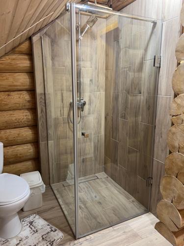a shower stall in a bathroom with a toilet at Smerekovyi Dvir in Polyana