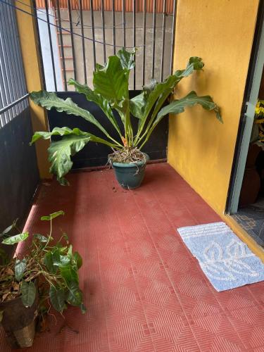 Gambar di galeri bagi Close to Walmart supermarket chain di San Pablo