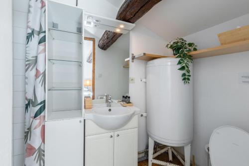 une salle de bain avec un lavabo et des toilettes dans l'établissement Studio Gare Express - Wifi, Cozy, Privé & Confort, à Montpellier