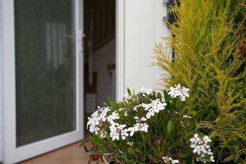 a bouquet of white flowers in front of a door at B&B Al sogno di Laura in Treviso