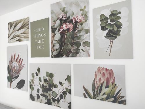 a group of four pictures of plants on a wall at Ferienwohnung Traumblick in Bretzfeld