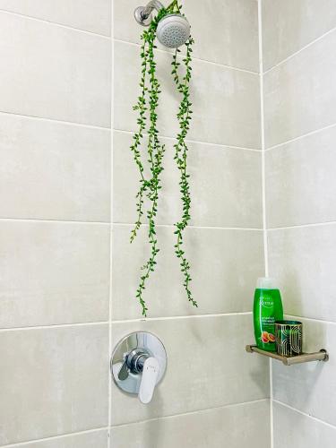 a shower with a green plant hanging from the wall at Greencreek Lifestyle in Pretoria