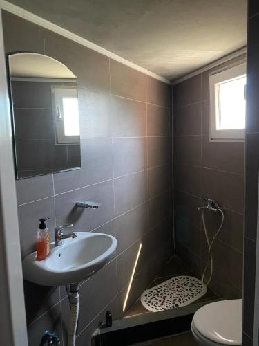 a bathroom with a sink and a toilet and a mirror at Draga`s rooms in Virpazar