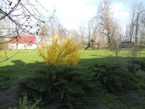 a green field with a park with a playground at Zamość Dwór Udrycze in Udrycze