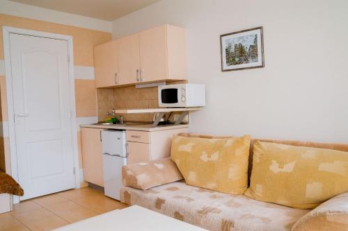 a living room with a couch and a kitchen at Apartamentai Naglis in Palanga