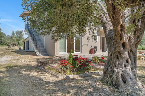 a house with a tree and flowers in front of it at Panagis Apartments in Argostoli