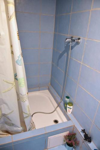 eine Dusche in einem blau gefliesten Bad mit Dusche in der Unterkunft Na venkově nedaleko jezera Štít in Bílé Vchynice