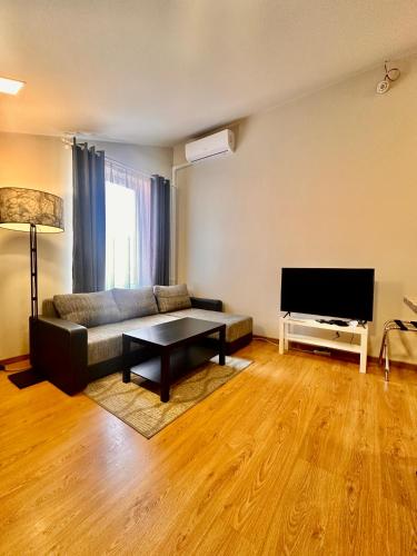 a living room with a couch and a flat screen tv at Perlos Apartamentai 13 in Birštonas