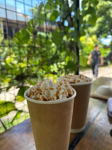 two drinks in paper cups sitting on a table at Fernando's Hotel in Sorsogon