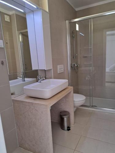 a bathroom with a sink and a toilet and a shower at Novaedil Apartment in Povljana