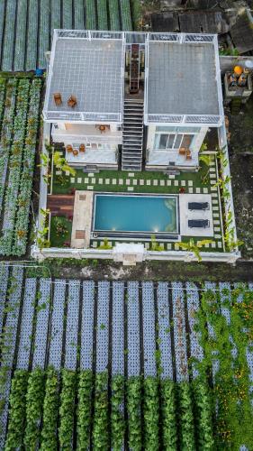 Kolam renang di atau dekat dengan Hayana Villa Kintamani