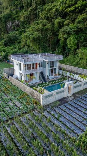 Kolam renang di atau dekat dengan Hayana Villa Kintamani