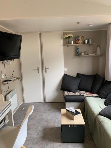 a living room with a couch and a tv at mobilhome 3 chambres camping boisé in Nans-les-Pins