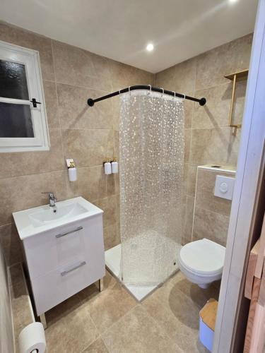 une salle de bain avec une douche, des toilettes et un lavabo dans l'établissement Les chambres des Saladelles, à La Celle-sous-Gouzon